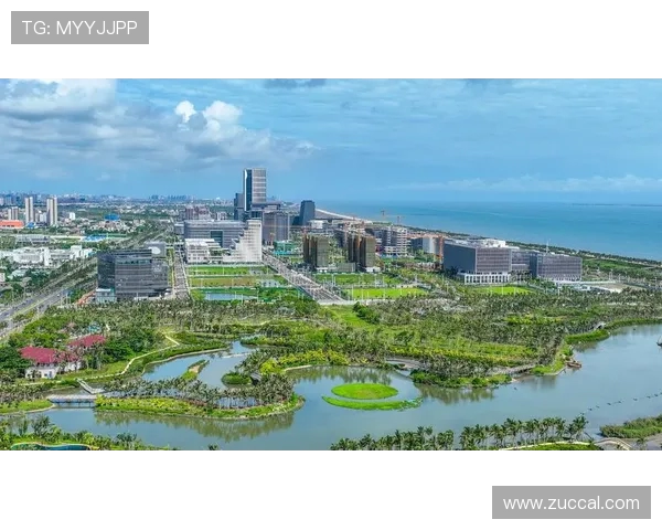 海南自贸港第五届国际武术大赛 7 月 11 日盛大启幕(1) 海南自贸港第五届国际武术大赛 7 月 11 日盛大启幕(1)